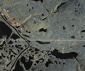 Processing Of First TanDEM-X Data Received At Inuvik