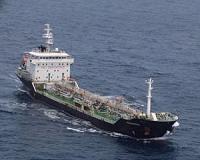 To make ocean conservation work we should keep the noise down