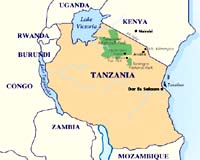 20 die in Tanzania floods: officials