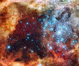 Stellar monsters do not collide -- no hope for a spectacular catastrophe