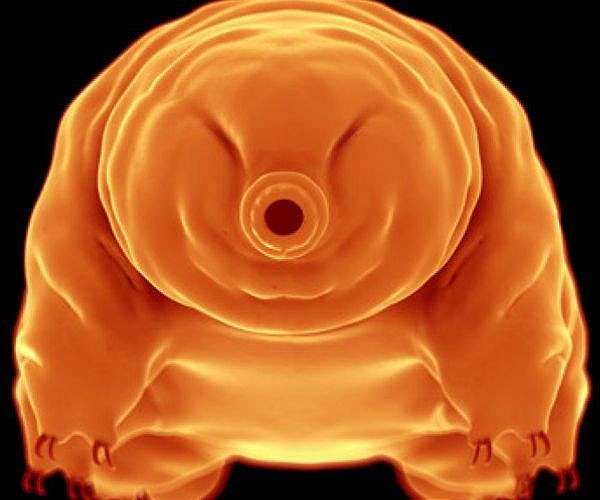 Microscopic Superheroes to Help Protect Astronaut Health in Space