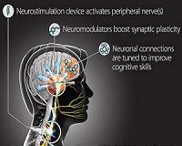 Boosting Synaptic Plasticity to Accelerate Learning