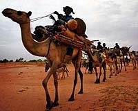 Paris court dismisses Tuareg suit against nuclear firm Areva