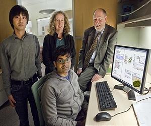 Untangling the Quantum Entanglement Behind Photosynthesis