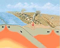 Predicted Ground Motions For Great Earthquake In Pacific Northwest