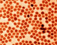 USTC makes breakthrough in solar cell efficiency
