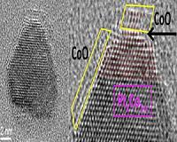 Evolution of a Bimetallic Nanocatalyst