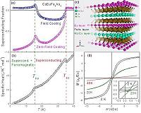 New ferromagnetic superconductors