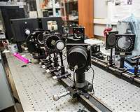 Solid-state physics offers insights into dielectric properties of biomaterials