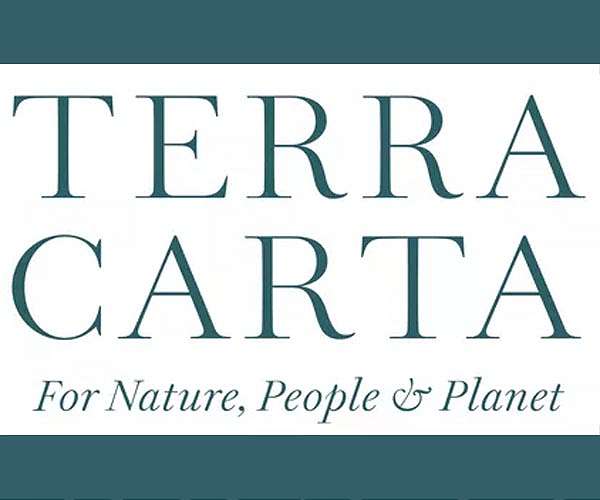 Satellite Vu becomes a supporter of the Terra Carta - Sustainable Markets Initiative
