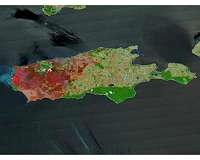 Kangaroo Island shows burn scars on one third of the land mass