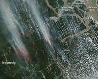 Indonesia fights fires as haze cloaks SE Asia before F1