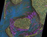 TerraSAR-X Image Of The Month: The Wadden Sea In North Frisia