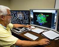 New study shines light on photosynthesis