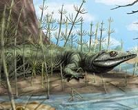 Ancient rocks reveal how Earth recovered from mass extinction