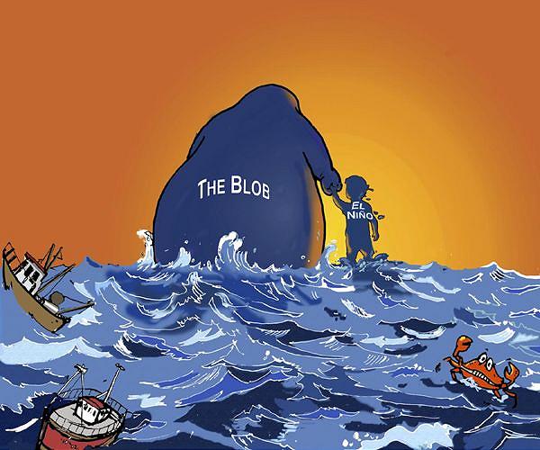 With global warming, marine heatwaves like 'The Blob' could be commonplace