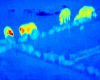 Better mastery of heat flow leads to next-generation thermal cloaks