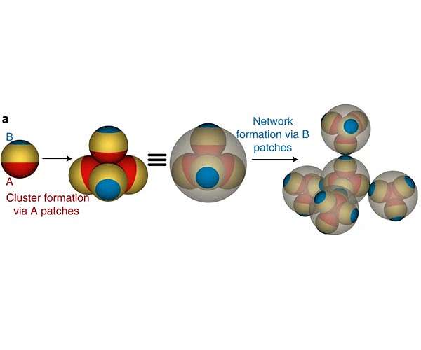New evidence shows water separates into two different liquids at low temperatures