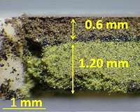 'Ion billiards' cue novel material synthesis method