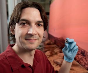 Clues About Mars Evolution Revealed