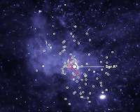 Black Hole Bounty Captured in the Milky Way Center