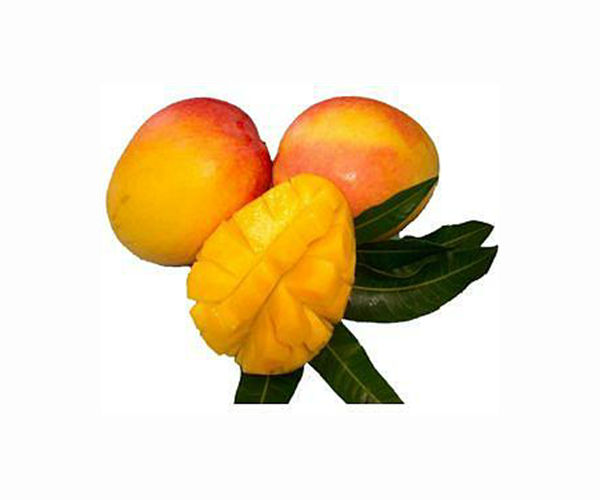 Taiwan slams China's ban on mango imports