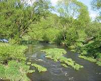 Preservation of floodplains is flood protection