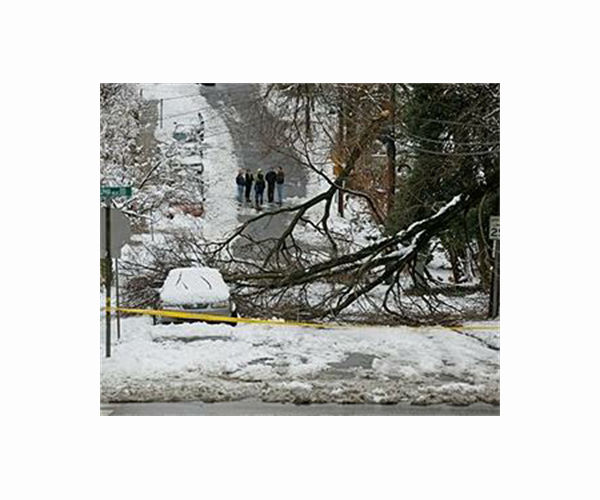 Travel woes as winter storm blankets eastern US and Canada
