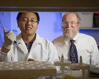 Analog DNA circuit does math in a test tube