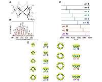 A preparative-scale reaction using platinum clusters with a single-digit atomicity realized