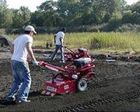 Flushed resource restores ecosystem