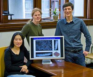 Self-assembling nanorods