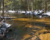 UGA ecologist finds another cause of antibiotic resistance