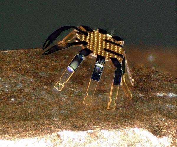 This Robotic Skin Allows Tiny Robots to Navigate Complex, Fragile Environments
