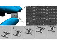 New cell-sized micro robots might make incredible journeys
