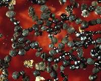 Tiny, ancient meteorites suggest early Earth's atmosphere was rich in carbon dioxide