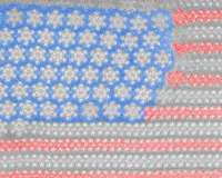Unexpected, star-spangled find may lead to advanced electronics