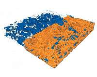 Fuel cell X-ray study details effects of temperature and moisture on performance