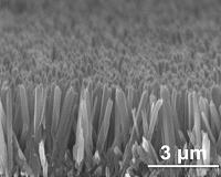 Scientists observe nanowires as they grow