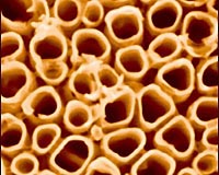 Discovery Of An Unexpected Boost For Solar Water-Splitting Cells
