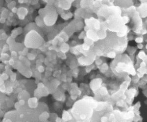 Measuring The Temperature Of Nanoparticles