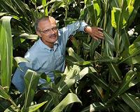 Boosting global corn yields depends on improving nutrient balance