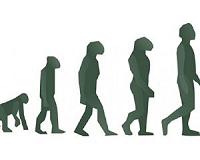 Tortoise approach works best - even for evolution