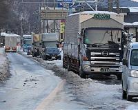 Salting roads cuts lives short for butterflies: study