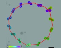 Minimalist swimming microrobots