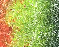 Gene transfer on the fungal highway