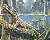 The Life Histories Of The Earliest Land Animals