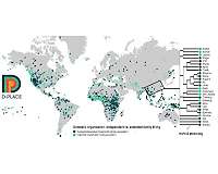 Identifying major transitions in human cultural evolution