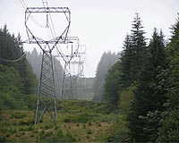 Conservation Groups Support New Californian Transmission Line