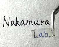 Powered by windows: enhanced power factor in transparent thermoelectric nanowire materials